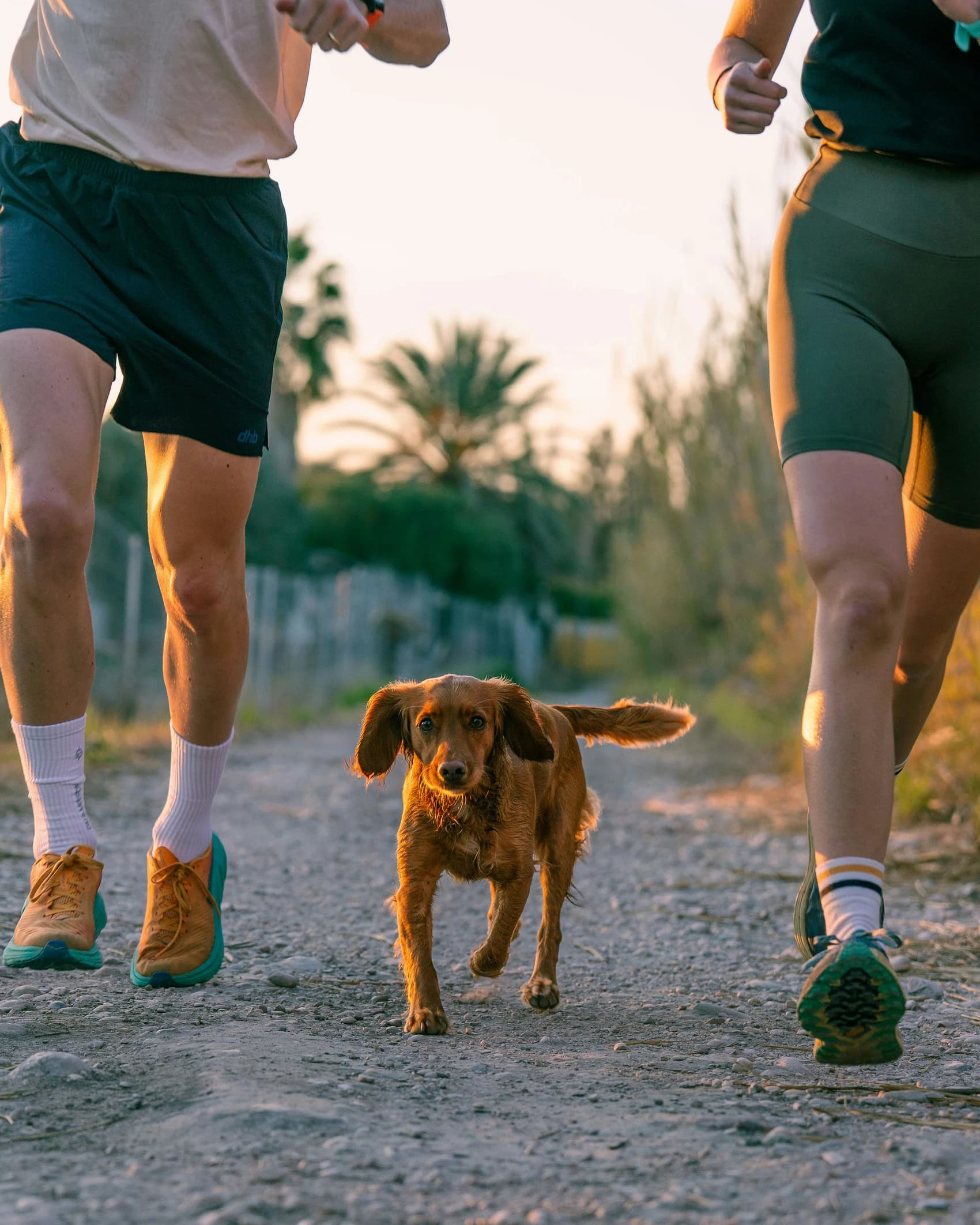 Zone 2 cardio : définition, bienfaits et méthode pour bien s’entraîner